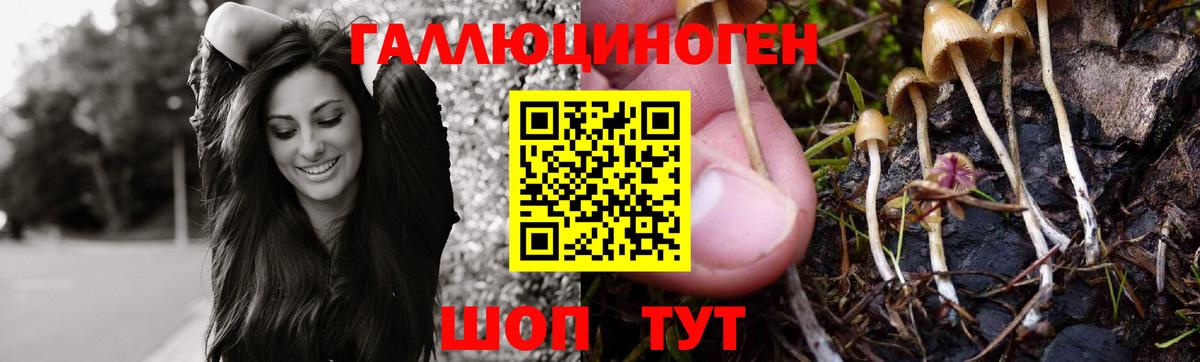 Галлюциногенные грибы Psilocybine cubensis  Вход с VPN  Гусев 